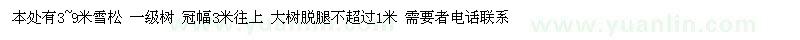 求購雪松
