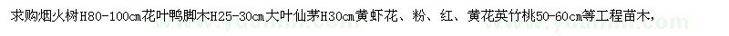 求購(gòu)煙火樹