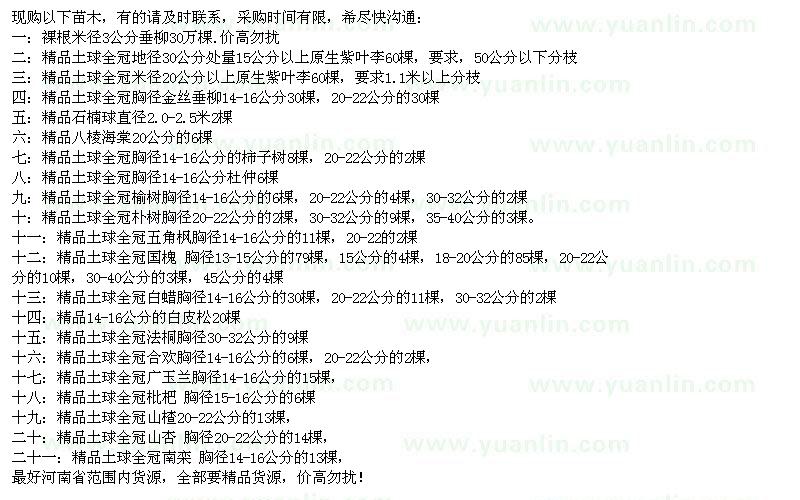 求購(gòu)垂柳、原生紫葉李、金絲垂柳、石楠等苗木