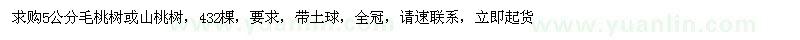 求購5公分毛桃樹或山桃樹