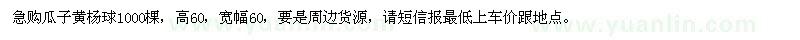 求購瓜子黃楊球1000棵