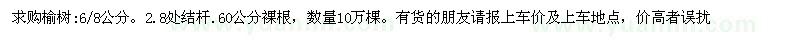 求購榆樹