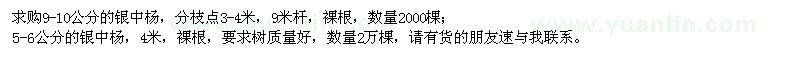 求購9-10公分的銀中楊,5-6公分的銀中楊