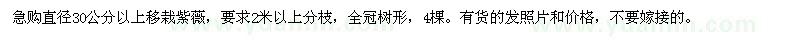 求購直徑30公分以上移栽紫薇