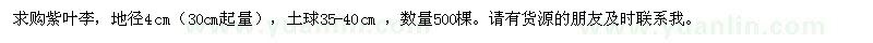 求購地徑4cm的紫葉李