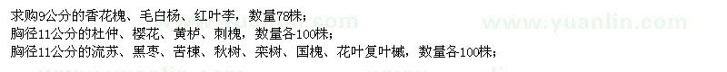 求購香花槐,毛白楊,欒樹,國槐,雪松,元寶楓