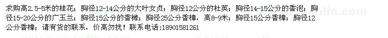 求購桂花、大葉女貞、杜英、香泡等苗木