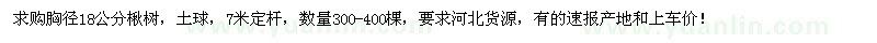 求購18公分楸樹300-400棵