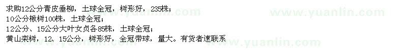 求購(gòu)青皮垂柳,楸樹,大葉女貞,黃山欒樹