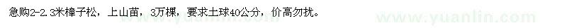 求購2-2.3米樟子松