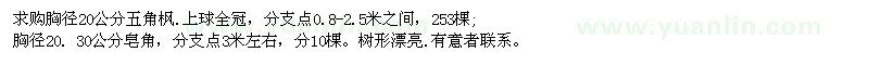 求購(gòu)胸徑20公分五角楓、胸徑20. 30公分皂角