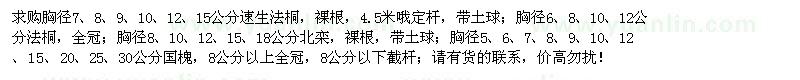 求購(gòu)速生法桐、法桐、北欒、國(guó)槐
