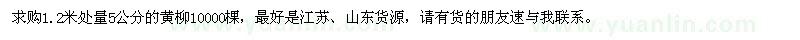求購1.2米處量5公分的黃柳