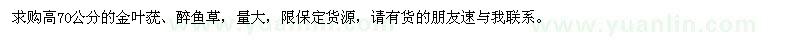 求購高70公分的金葉蕕,醉魚草