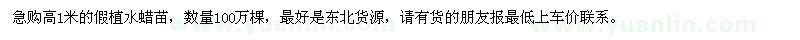 求購(gòu)高1米的假植水蠟苗