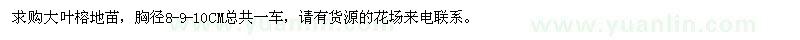 求購(gòu)大葉榕地苗