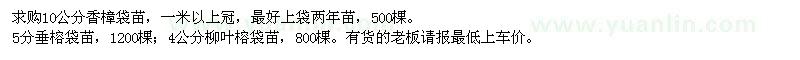 求購10公分香樟袋苗,4公分柳葉榕袋苗