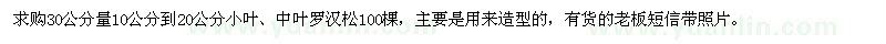 求購20公分小葉,中葉羅漢松100棵