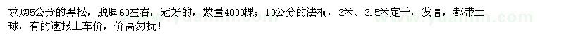 求購(gòu)5公分黑松、10公分法桐