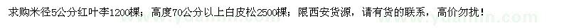 求購米徑5公分紅葉李、高70公分以上白皮松
