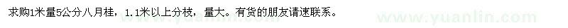 求購1米量5公分八月桂