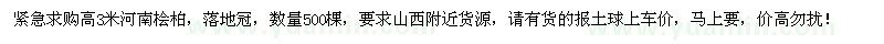 求購高3米河南檜柏500棵
