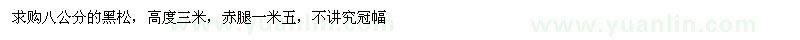 求購(gòu)八公分的黑松 