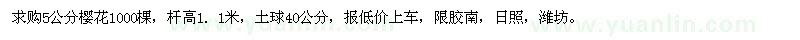 求購5公分櫻花