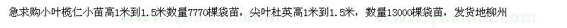 求購小葉欖仁，尖葉杜英小苗高1米到1.5米