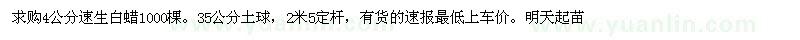 求購4公分速生白蠟1000棵