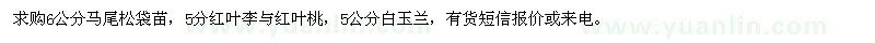 求購馬尾松袋苗,紅葉李,紅葉桃,白玉蘭