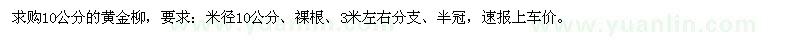 求購10公分的黃金柳