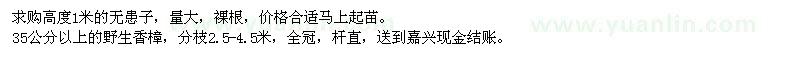 求購高度1米的無患子,35公分以上的野生香樟