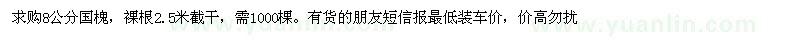 求購8公分國槐