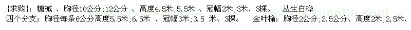 求購糖槭 、叢生白樺四個(gè)分支：金葉榆