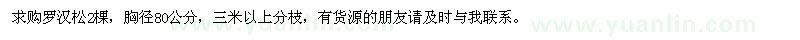 求購羅漢松2棵