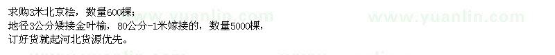 求購3米北京檜,地徑3公分矮接金葉榆