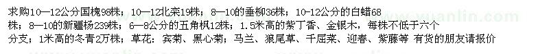 求購(gòu)新疆楊、五角楓、白蠟、國(guó)槐、大葉黃楊等