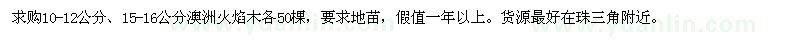 求購10-12公分,15-16公分澳洲火焰木