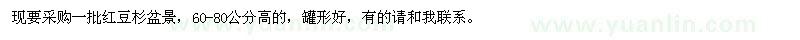 求購(gòu)紅豆杉