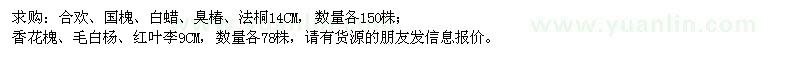 求購合歡、國槐、白蠟、臭椿、法桐等