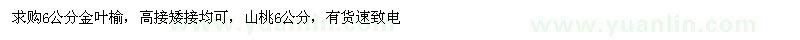 求購山桃、金葉榆6公分