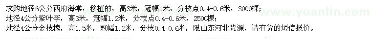 求購西府海棠,紫葉李,金枝槐