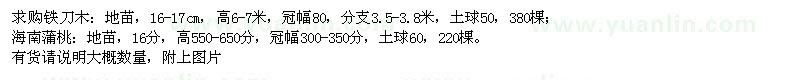 求購鐵刀木,海南蒲桃