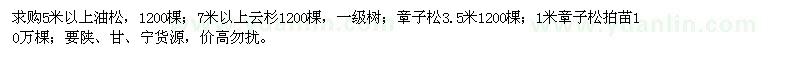 求購(gòu)油松、云杉、樟子松