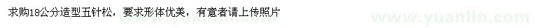 求購五針松