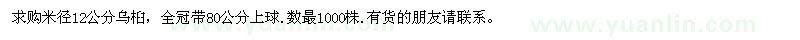 求購米徑12公分烏桕