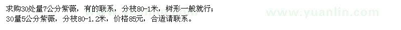 求購紫薇