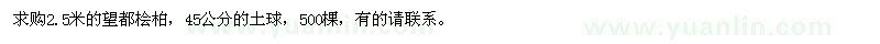 求購(gòu)2.5米的望都檜柏