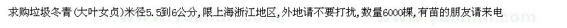 求購(gòu)垃圾冬青(大葉女貞)米徑5.5到6公分